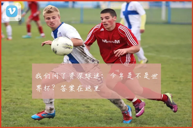 我们问了资深球迷：今年是不是世界杯？答案在这里