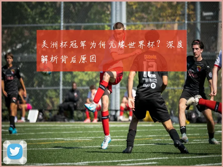 美洲杯冠军为何无缘世界杯？深度解析背后原因