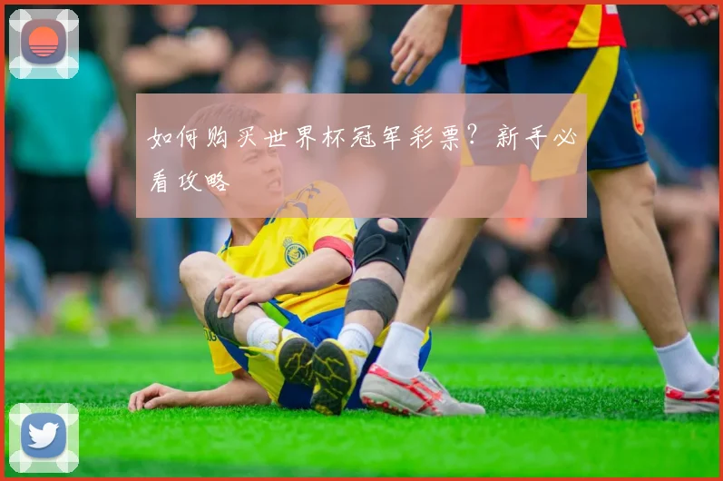 如何购买世界杯冠军彩票？新手必看攻略