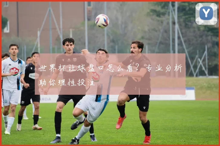 世界杯让球盘口怎么看？专业分析助你理性投注