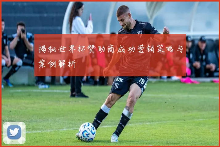 揭秘世界杯赞助商成功营销策略与案例解析