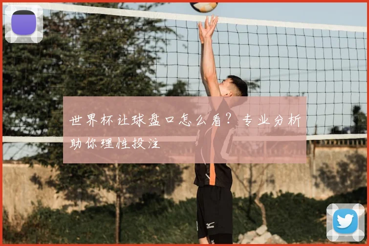 世界杯让球盘口怎么看？专业分析助你理性投注