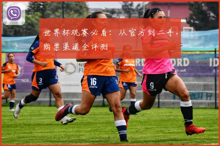 世界杯观赛必看：从官方到二手，购票渠道全评测