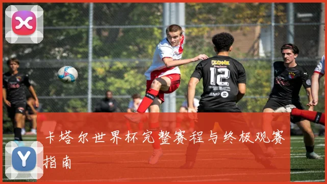 卡塔尔世界杯完整赛程与终极观赛指南