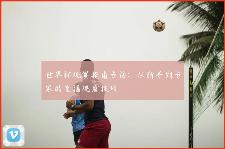 世界杯观赛指南专访：从新手到专家的直播观看技巧