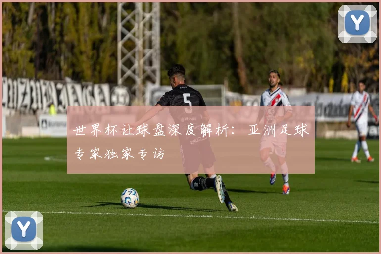 世界杯让球盘深度解析：亚洲足球专家独家专访