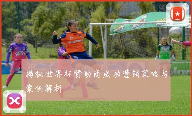 揭秘世界杯赞助商成功营销策略与案例解析