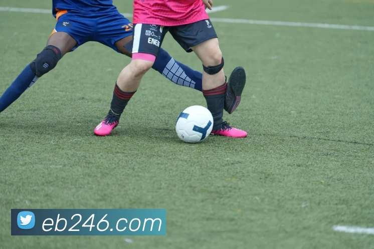 mksports官方app官网入口服务体系
